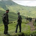  Nord-Kivu: l'armée progresse à coups de canons sur le front ouest