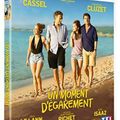 Revue DVD/Blu Ray d'octobre : Un moment d'égarement, Manglehorn, Le cousin Jules