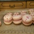 MACARONS FRAISES