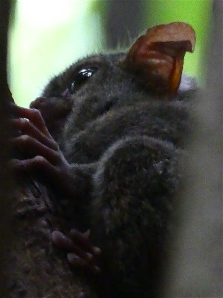 P1290428