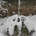 Neige à Marseille