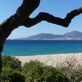 Une semaine en CORSE -1- Ajaccio, plages et ports