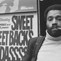 Mevin Van Peebles (1932-2021)