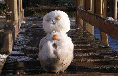 Dernier jour de classe de l'année 2009 sous la neige