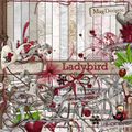 Ladybird + Freebie
