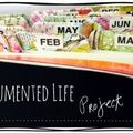 The documented life project (semaine 8)