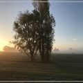 Origine du mot "Vendée"