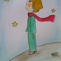 dessine moi ..... un petit prince 