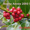 BONNE ANNEE 2010 !