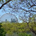 Parc Jean Drapeau Youpi ! 