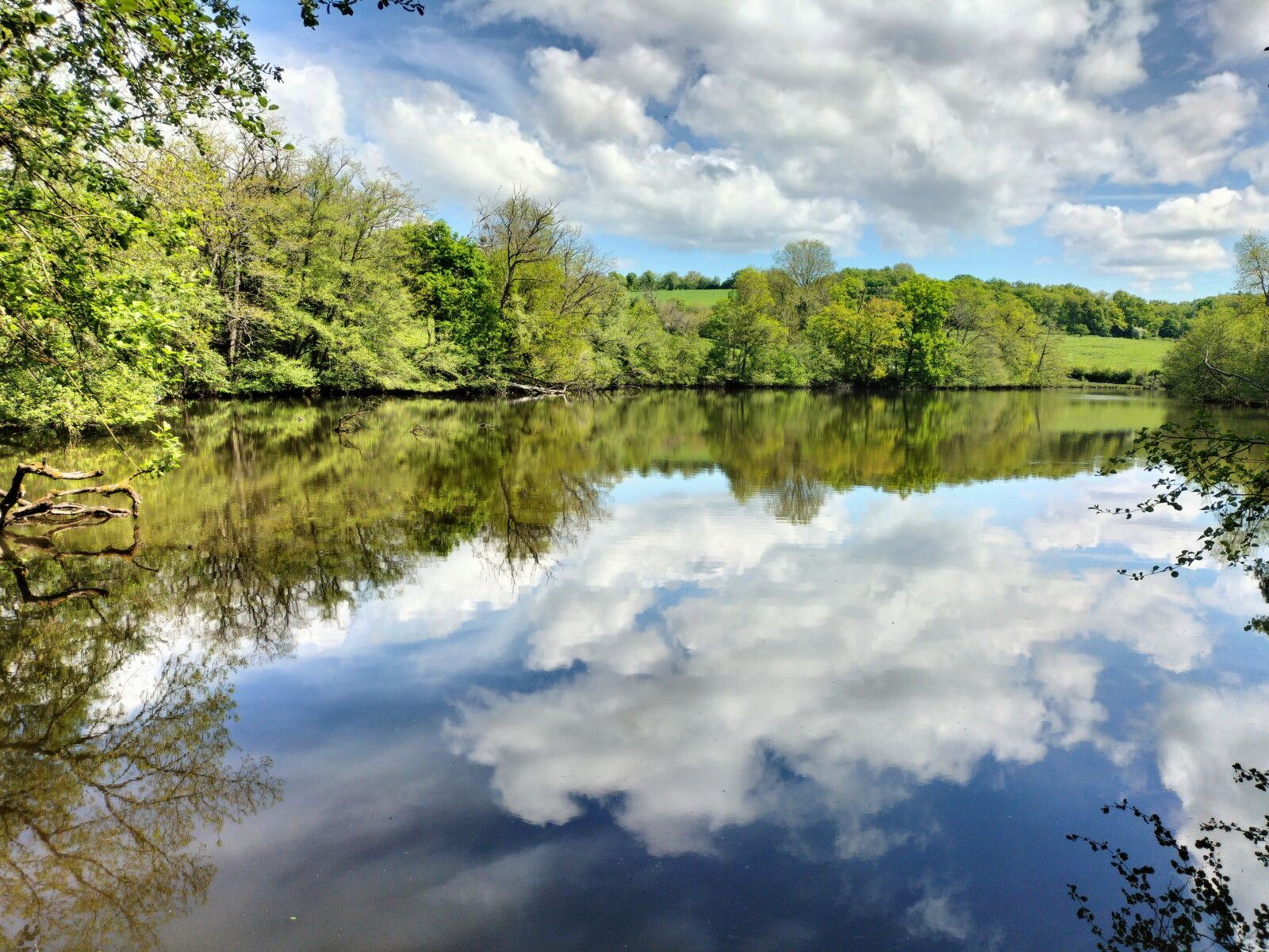 Préporché, l'étang Boirée, bord d'étang, reflets.. (58)