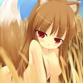 Spice and Wolf ~ Champs