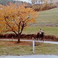 L'automne en Alsace, ambiance Grand-Meaulnes