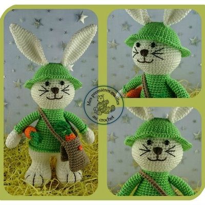 Paulo, le lapin malin