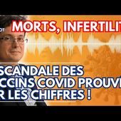 20h La Gazette du TOCSIN - Le fil d'Arkébi