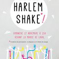 Affiche Harlem Shake