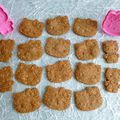biscuits diététiques hyperprotéinés multicéréales saveur érable avec Sukrin (sans sucre ni beurre ni oeufs)