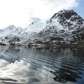 Lofoten, Vesterålen : coup de coeur