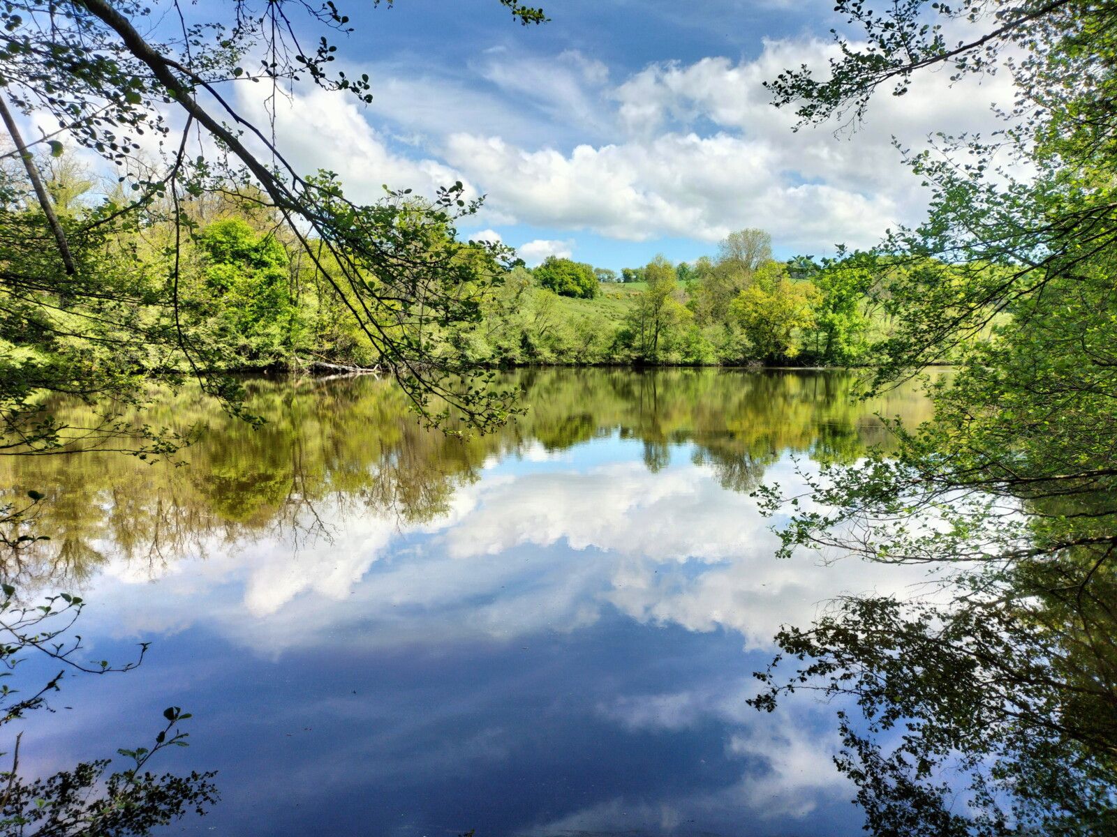 Préporché, l'étang Boirée, bord d'étang, reflets. (58)