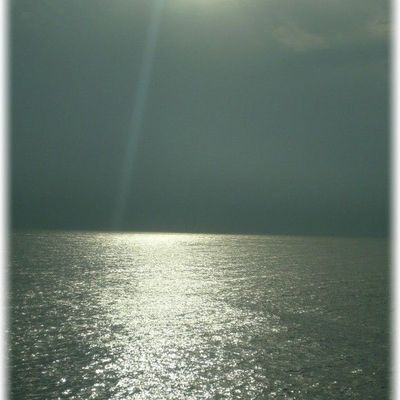 866 - Il y a déjà un an... 