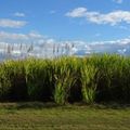 La longue route vers Airlie Beach…