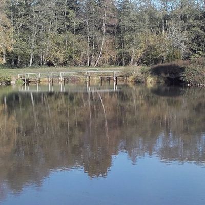 Sortie à l'Ephémère de Bourgogne