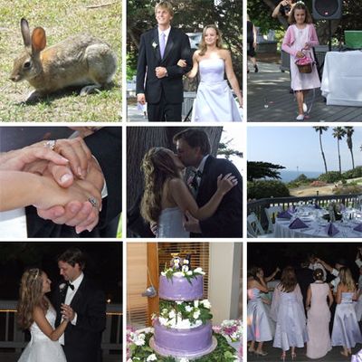 Marche nuptiale....