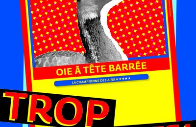 On a visité l'exposition  "Trop forts!" au musée des Confluences