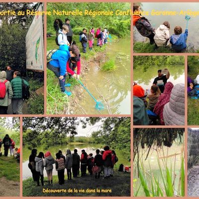 Visite de la classe élémentaire à la Réserve Naturelle Régionale Confluence Garonne-Ariège