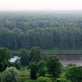 Pognon, Pognon et c'est encore la Nature qui trinque