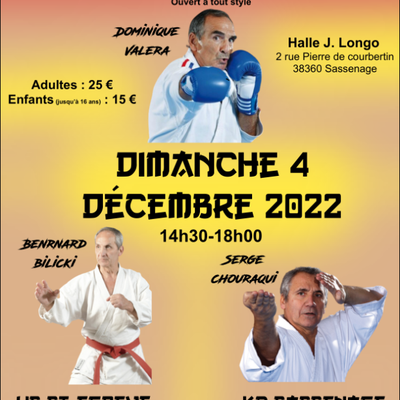 Stage -DIMANCHE 4 Décembre 2022 -à Sassenage