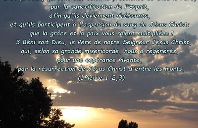 1Pierre 1:2,3 (Versets Illustrés)