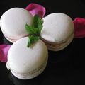 le moment est arrivé...macaron per tutti