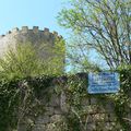 Le château des Rois-Ducs à Sauveterre