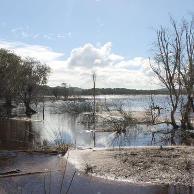 L’aventure sur Fraser Island - 29/06 – 02/07