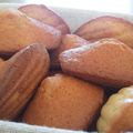 Madeleines (la recette classique)