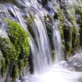 Autour de la source Bleue