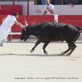 1ère journée des Espoirs à Saint-Rémy de Provence