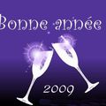 BONNE ANNEE 2009 !