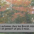 Défi automne des Breizh Addict