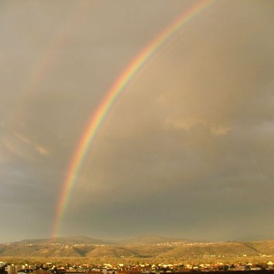 Ce matin, en ouvrant mes volets...
