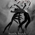 Hush Hush