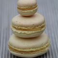 Mes macarons au citron.