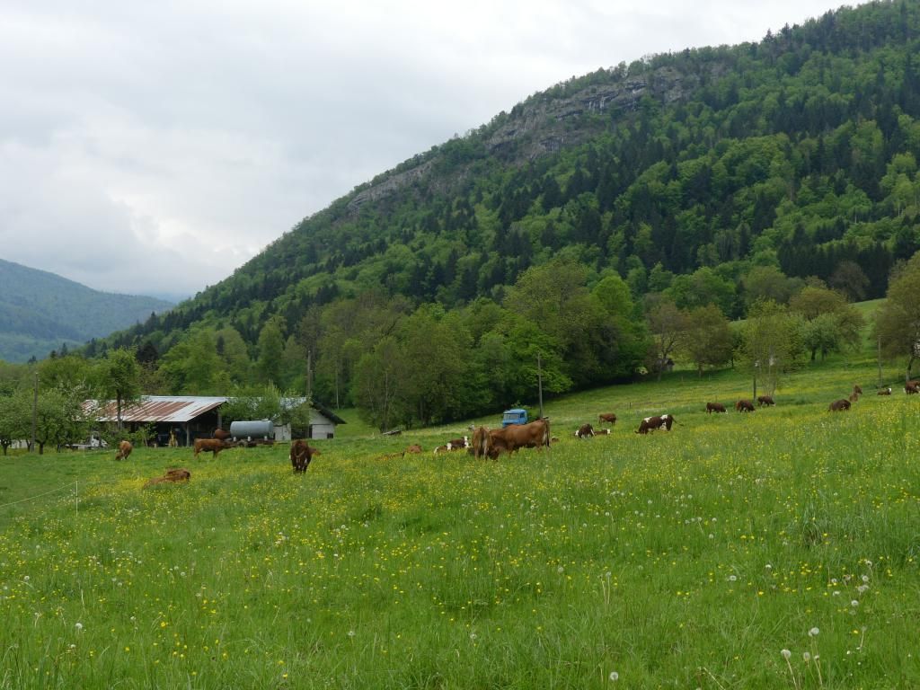P1320550
