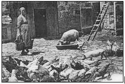 PUBLICATION : VIE DE FEMME A LA TERRIERE EN 1900 