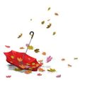 Echanges d'ATC : une pochette complète