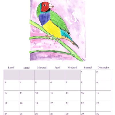 Petit voyage sous les tropiques...