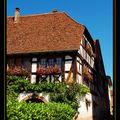 Ossature en poutre en Alsace ...Mauric