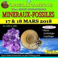 EVENEMENT J-14 : GOHELLIUM 2018, 17ème Bourse Internationale Minéraux Fossiles !!!