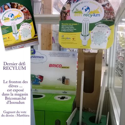 Fin du projet Recylum